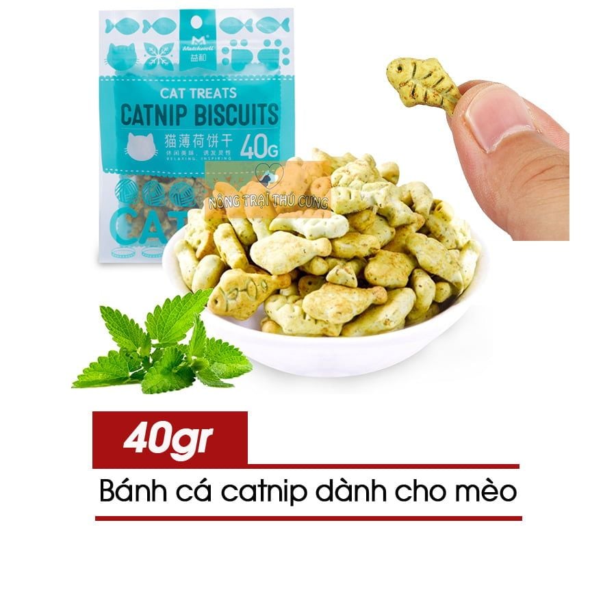 Bánh Cá - Ảnh 3