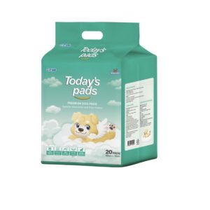 Miếng lót vệ sinh TODAY'S PADS