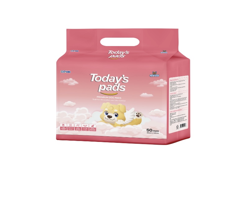 Miếng lót vệ sinh TODAY'S PADS - Ảnh 2