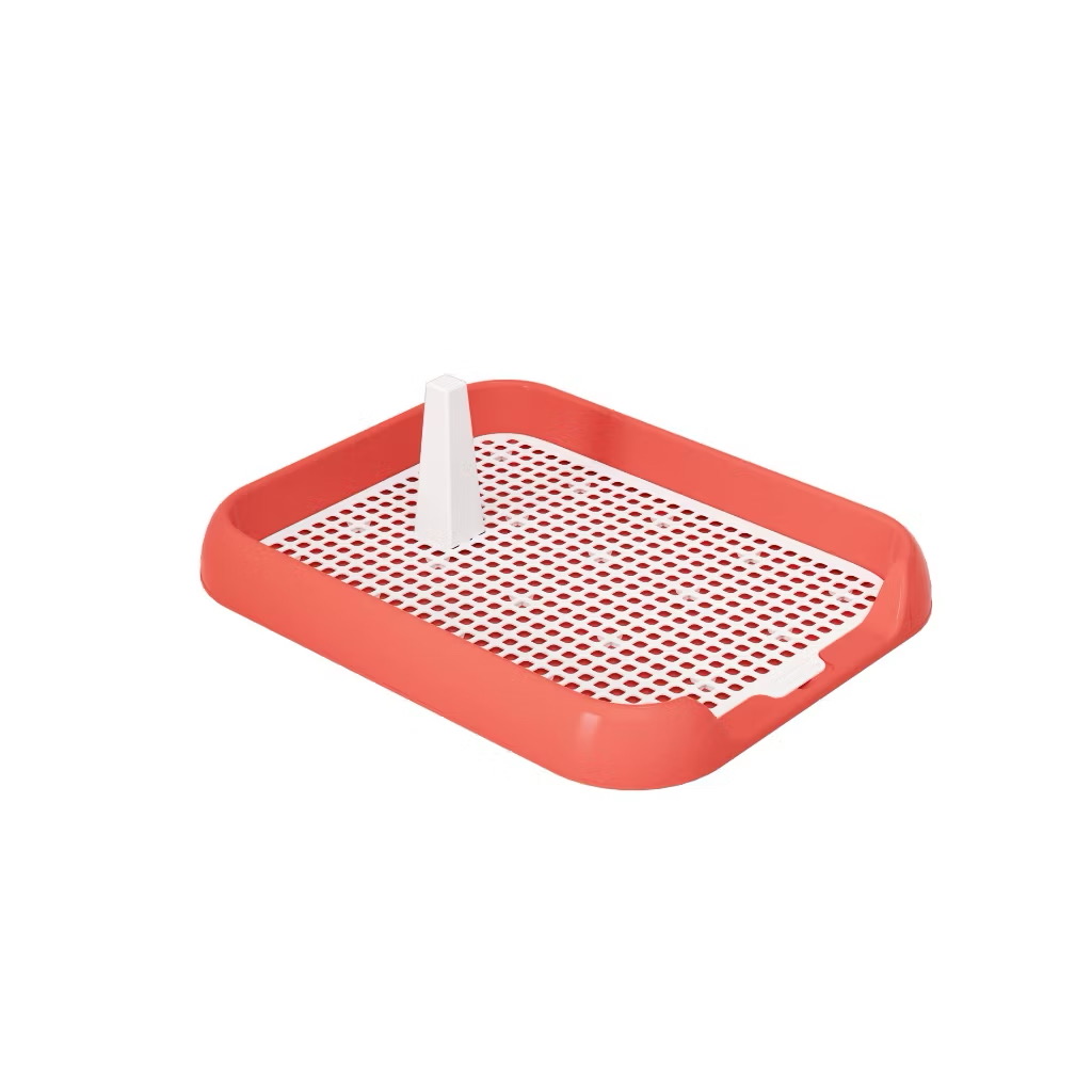 Khay vệ sinh chó nhỏ thành thấp - Ảnh 2