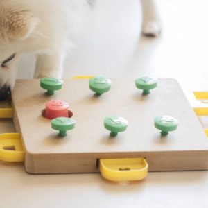 Đồ chơi trí nhớ