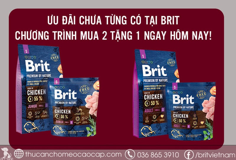 Hạt Brit - Ảnh 2