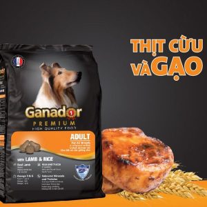 Hạt Ganador