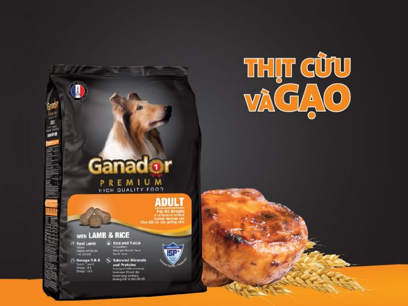 Hạt Ganador