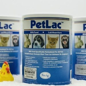 Sữa bột cho chó con PetLac