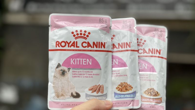 Pate Royal Canin